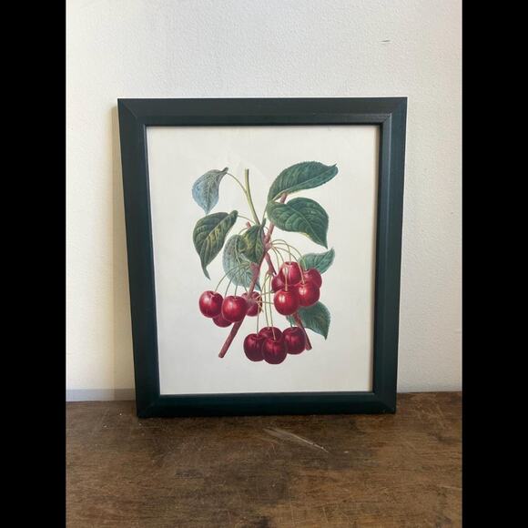 Vintage Cherry Botanical Print in Dark Green Frame | Cottagecore Prairiecore - Picture 1 of 5